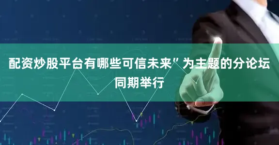 配资炒股平台有哪些可信未来”为主题的分论坛同期举行